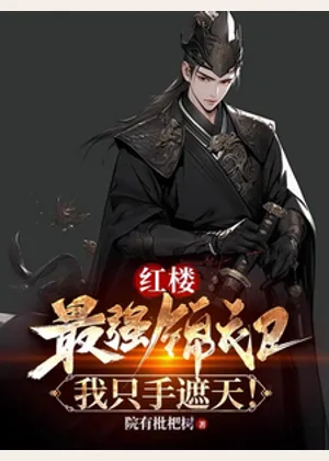 红楼：最强锦衣卫，我只手遮天！小说封面