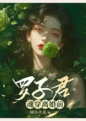 罗子君魂穿离婚前小说封面