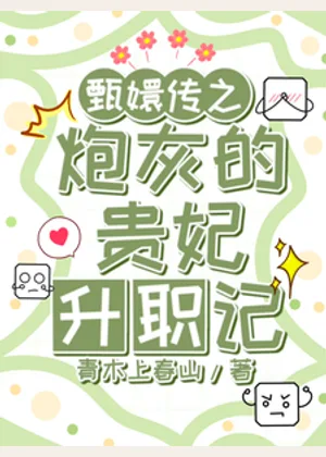甄嬛传之炮灰的贵妃升职记小说封面