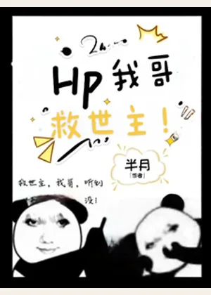 HP：我哥，救世主！小说封面