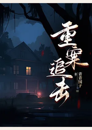 重案追击小说封面