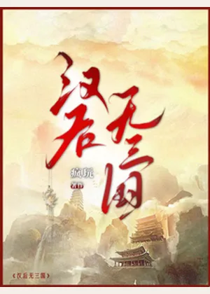 汉后无三国小说封面