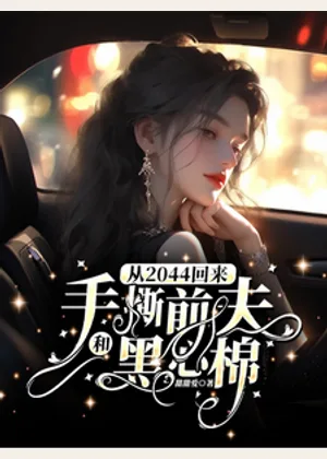 从2044回来手撕前夫和黑心棉小说封面