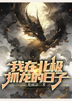 我在北极抓龙的日子小说封面
