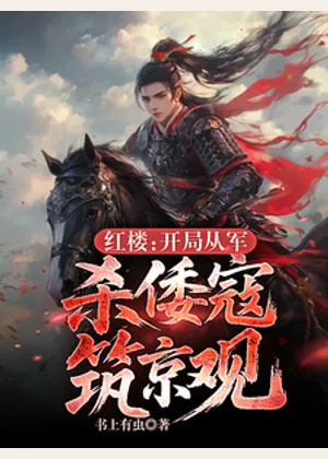 红楼：开局从军，杀倭寇筑京观！小说封面