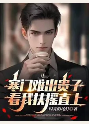 寒门难出贵子，看我扶摇直上小说封面
