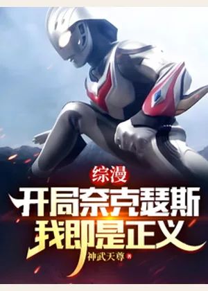 综漫：开局奈克瑟斯，我即是正义小说封面