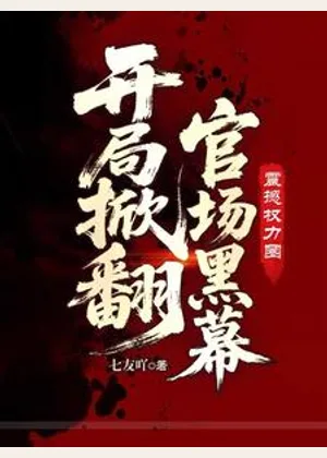 开局掀翻官场黑幕，震撼权力圈小说封面