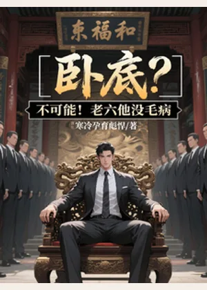 卧底？不可能！老六他没毛病小说封面