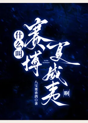 什么叫赛博夏威夷啊小说封面