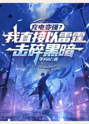 充电变强？我直接以雷霆击碎黑暗小说封面
