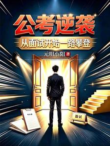 公考逆袭：从面试开始一路攀登小说封面