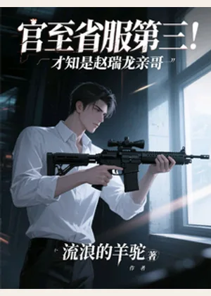 官至省服第三！才知是赵瑞龙亲哥小说封面