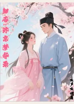 知否：汴京梦华录小说封面