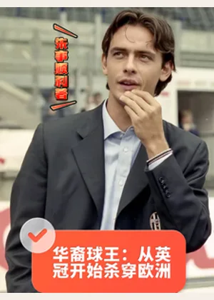 华裔球王：从英冠开始杀穿欧洲小说封面