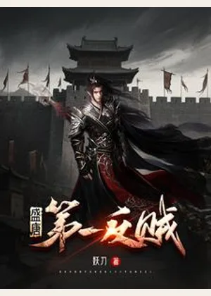 盛唐第一反贼小说封面