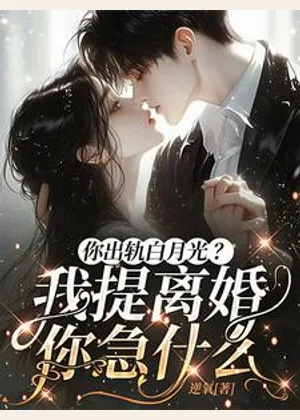 霍总，太太想跟你离婚很久了小说封面