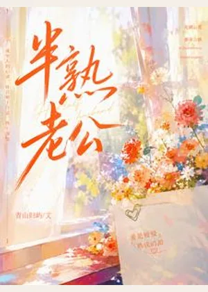 半熟老公小说封面