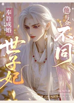 奉旨成婚，世子妃他与众不同小说封面