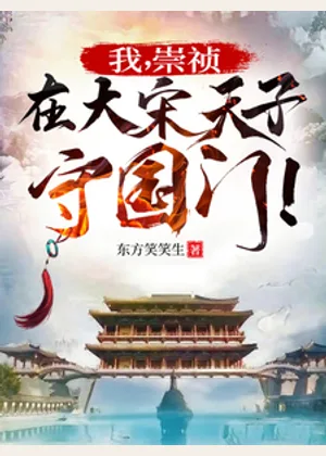 我，崇祯，在大宋天子守国门！小说封面