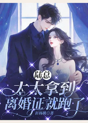 陆总，太太拿到离婚证就跑了小说封面