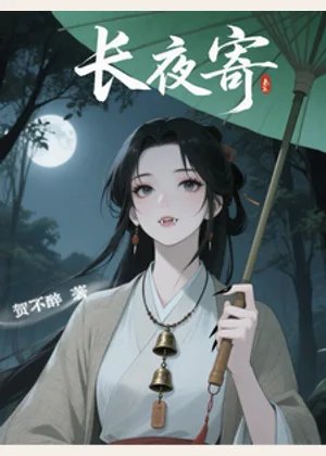 长夜寄小说封面