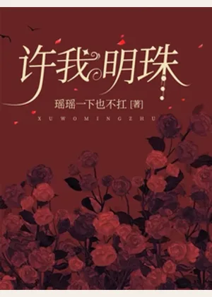 许我明珠小说封面