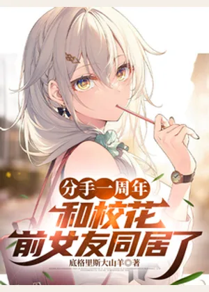 分手一周年，和校花前女友同居了小说封面