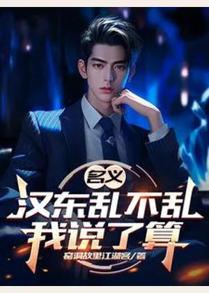 名义：汉东乱不乱我说了算小说封面
