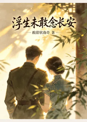 浮生未敢念长安小说封面