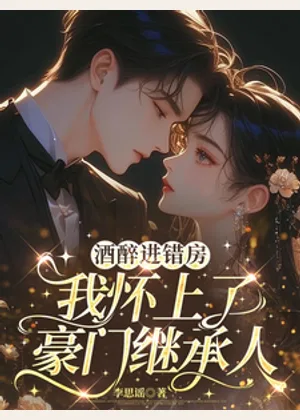 酒醉进错房，我怀上了豪门继承人小说封面