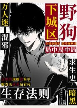 下城区野狗生存法则【万人迷】小说封面