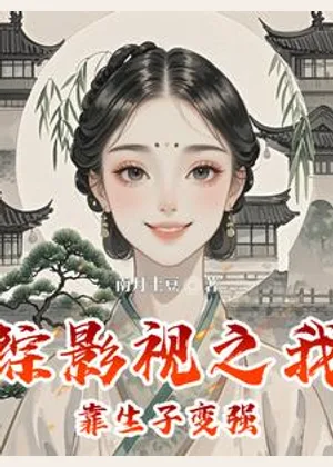 综影视之我靠生子变强小说封面