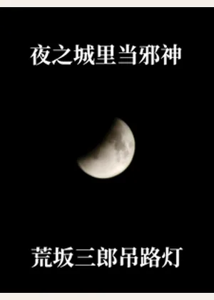 夜之城里当邪神，荒坂三郎吊路灯小说封面