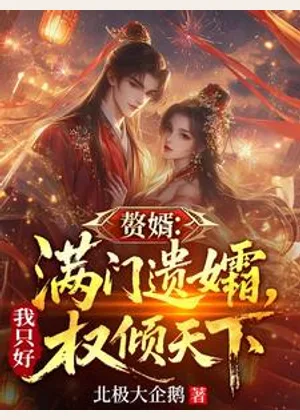 赘婿：满门遗孀，我只好权倾天下小说封面