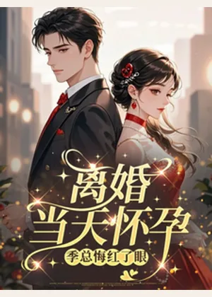 离婚当天怀孕，季总悔红了眼小说封面