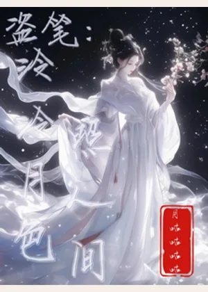 盗笔：泠泠月色照人间小说封面