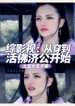 综影视：从穿到活佛济公开始小说封面