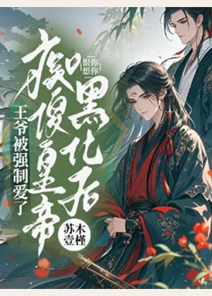 痴傻皇帝黑化后，王爷被强制爱了小说封面