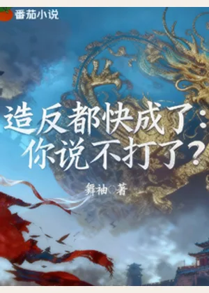 造反都快成了，你说不打了？小说封面
