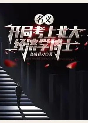 名义：开局考上北大经济学博士小说封面