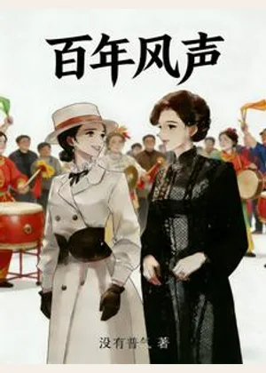 百年风声小说封面
