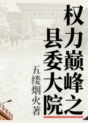 权力巅峰之县委大院小说封面