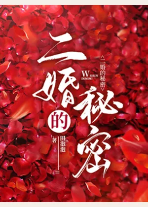 二婚的秘密小说封面