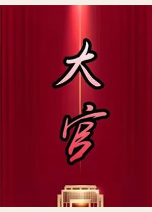 大官小说封面