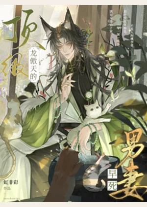 顶级龙傲天的早死男妻小说封面