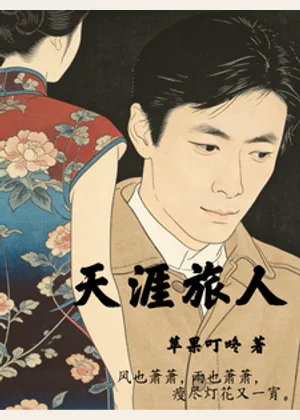 天涯旅人小说封面