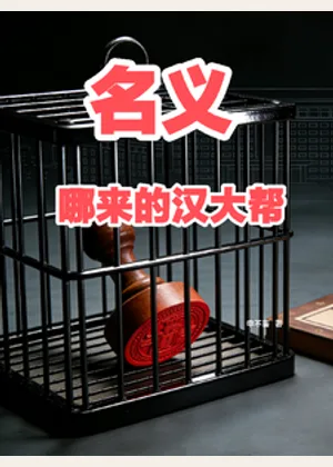 名义，哪来的汉大帮小说封面