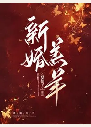 新婚羔羊小说封面