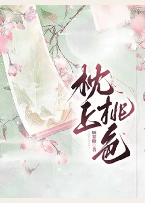 枕上桃色小说封面